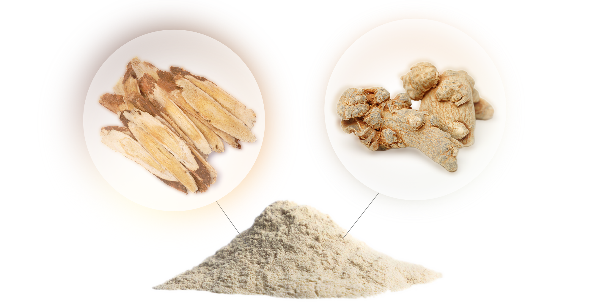 AstraGin® composition: Astragalus membranaceus root and Panax notoginseng root