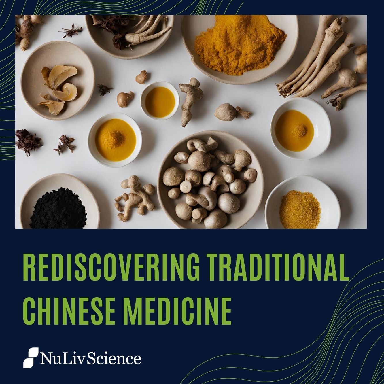 Traditional Chinese Medicine: Rediscovering Timeless Wisdom