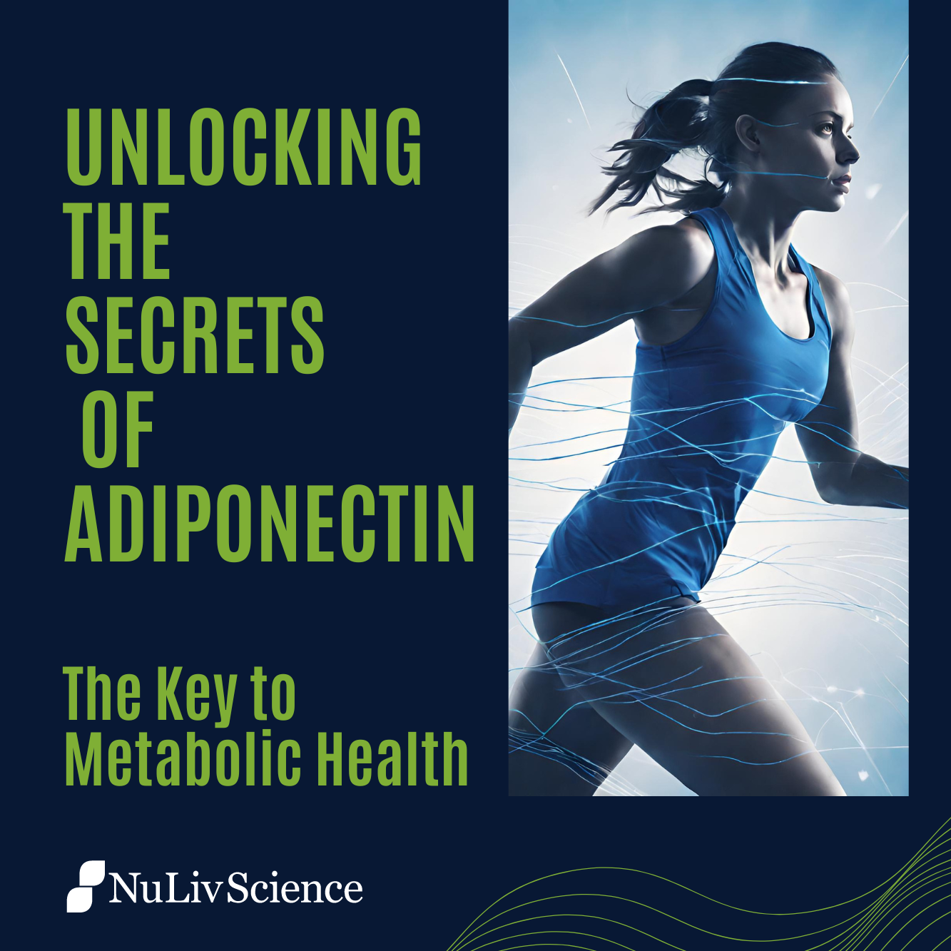Unlocking the Secrets of Adiponectin: The Key to Metabolic Health